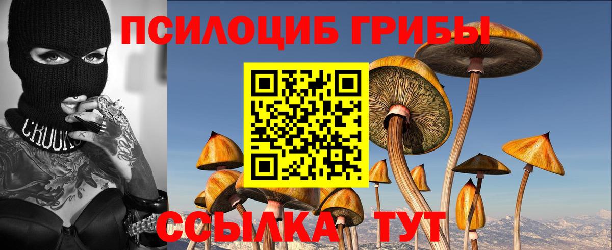 Ижевск  Галлюциногенные грибы Magic Shrooms  Вход с VPN 